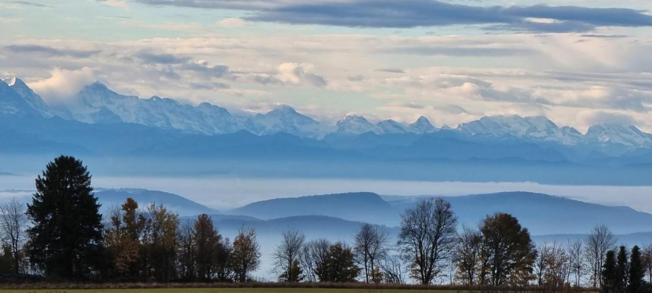Bio- Und Wellnesshotel Alpenblick Höchenschwand Екстериор снимка