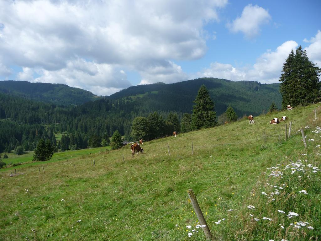 Bio- Und Wellnesshotel Alpenblick Höchenschwand Екстериор снимка