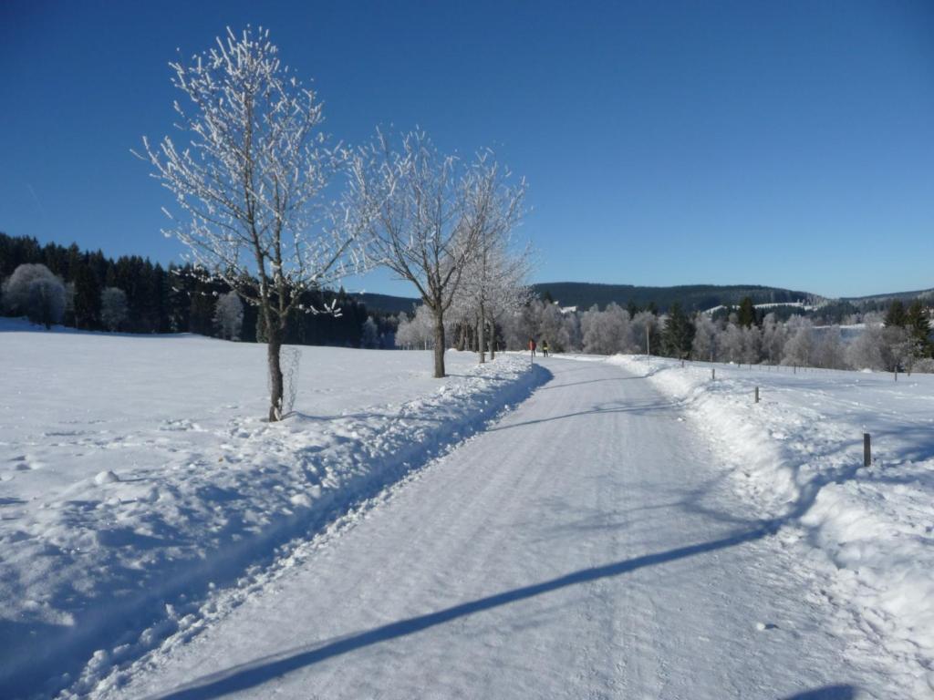 Bio- Und Wellnesshotel Alpenblick Höchenschwand Екстериор снимка