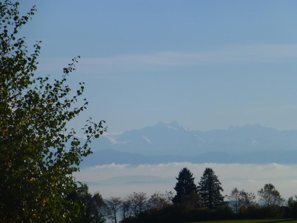 Bio- Und Wellnesshotel Alpenblick Höchenschwand Екстериор снимка
